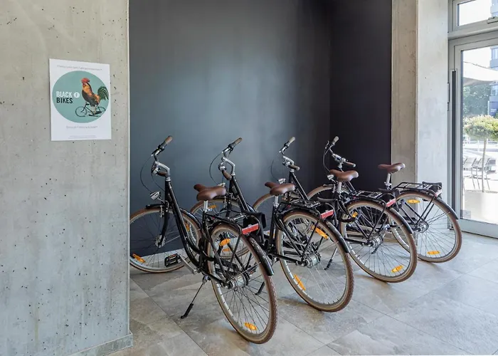 Black F House - Serviced Fryburg Bryzgowijski